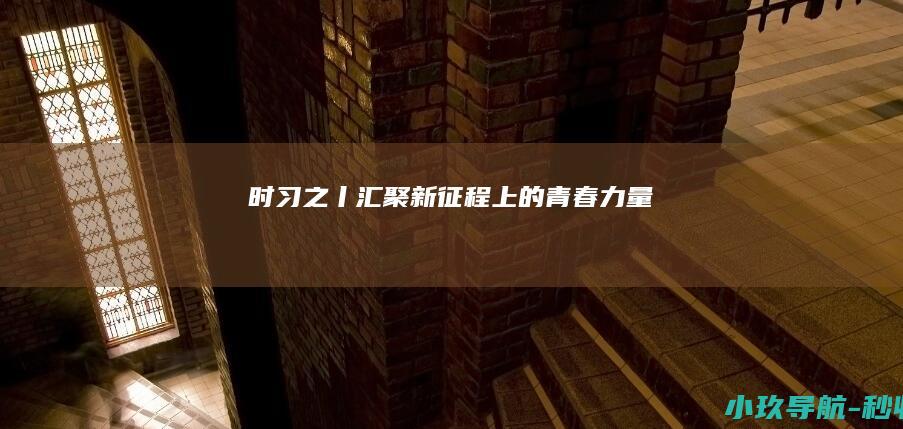 时习之丨汇聚新征程上的青春力量