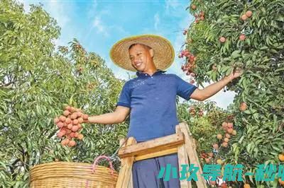 消费者 甜 果农有赚头吗 经济新方位 了