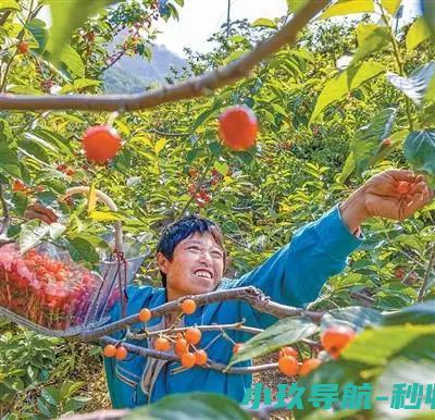 消费者甜果农有赚头吗经济新方位了
