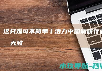 这只鸡可不简单！丨活力中国调研行 蛋被宠上天 致富在人间