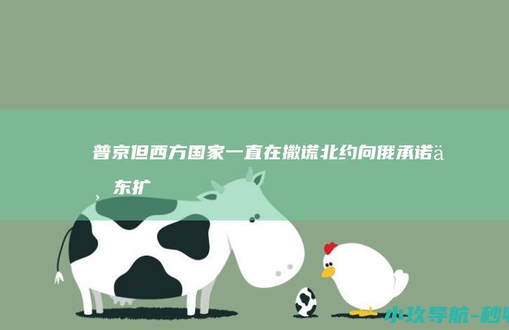普京 但西方国家一直在撒谎 北约向俄承诺不东扩