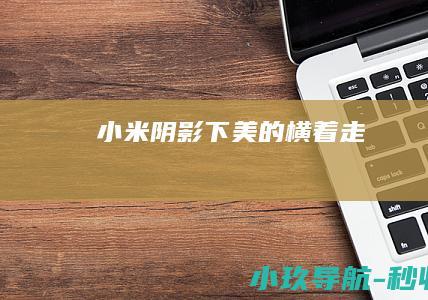 小米阴影下 美的 横着走
