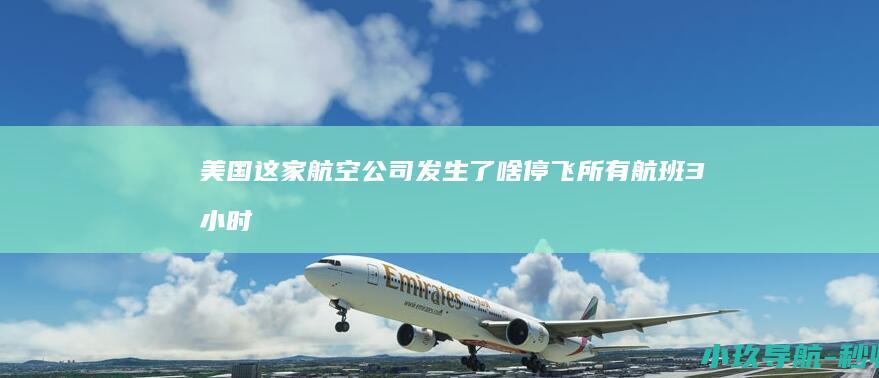 美国这家航空公司发生了啥 停飞所有航班3小时