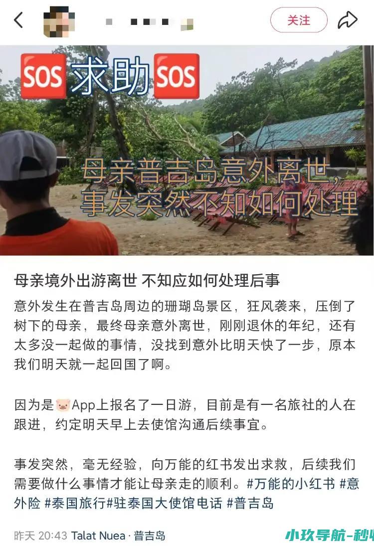 中国驻普吉领事办证实此事 中国女游客泰国珊瑚岛游玩被大树砸中去世