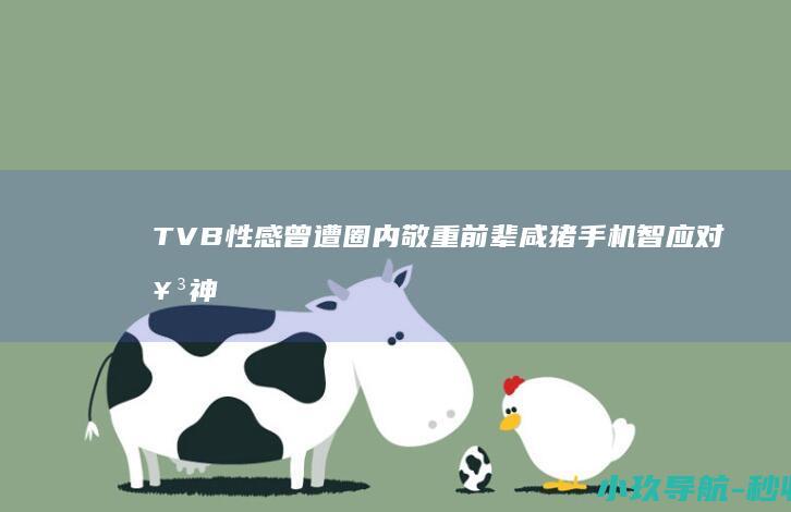 TVB 性感 曾遭圈内敬重前辈咸猪手 机智应对 女神近况曝光