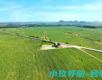 一根甘蔗习近平总书记关切事两头甜