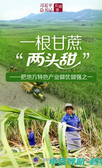一根甘蔗 习近平总书记关切事 两头甜