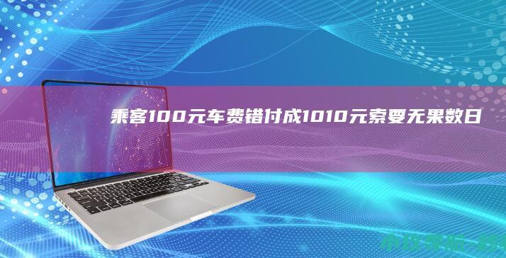 乘客100元车费错付成1010元 索要无果数日后喝农药 家属 开庭司机也没到场