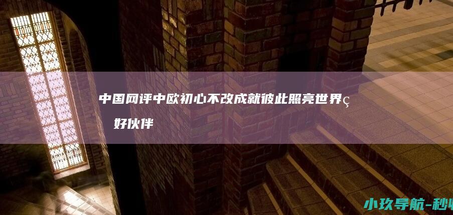中国网评 中欧初心不改 成就彼此照亮世界 的好伙伴 做