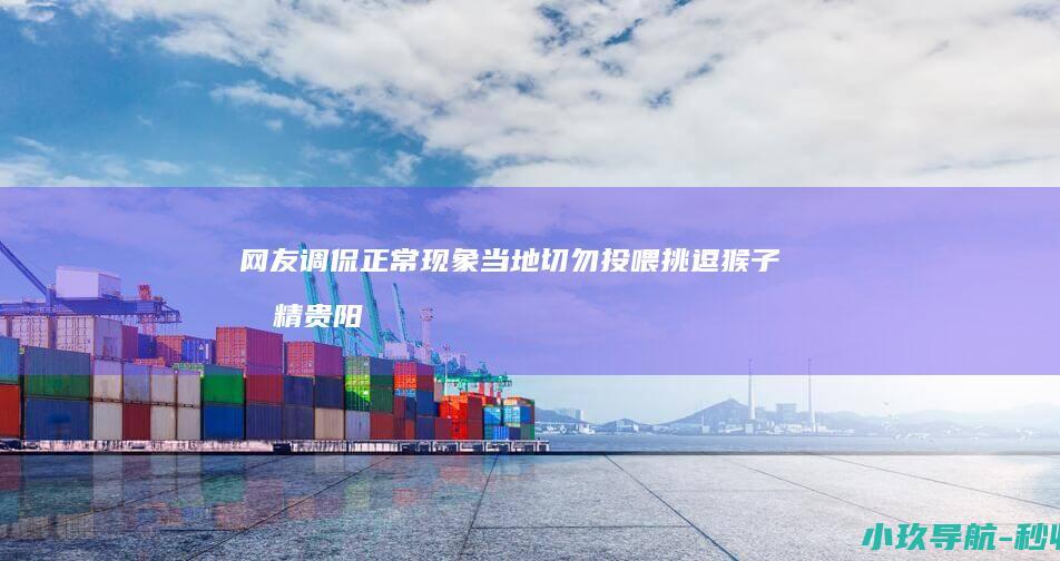 网友调侃 正常现象 当地 切勿投喂挑逗 猴子成精 贵阳街头一只猴子在高空走电线