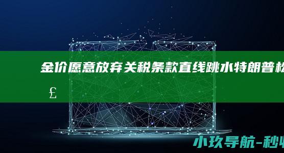 金价 愿意放弃关税条款！ 直线跳水！特朗普松口