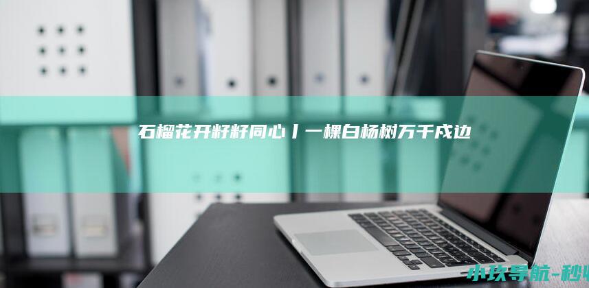 石榴花开 籽籽同心丨一棵白杨树 万千戍边情
