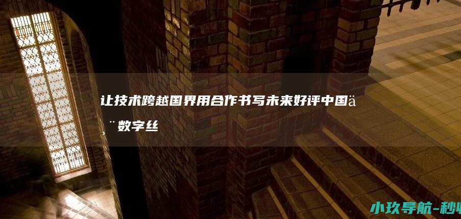让技术跨越国界 用合作书写未来 好评中国丨数字丝路
