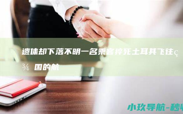 遗体却下落不明 一名乘客猝死 土耳其飞往美国的航班上
