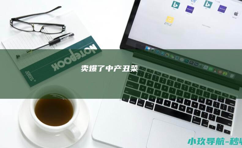 卖爆了 中产丑菜