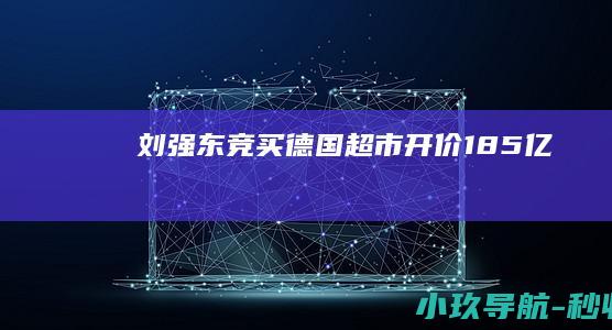 刘强东竞买德国超市 开价185亿