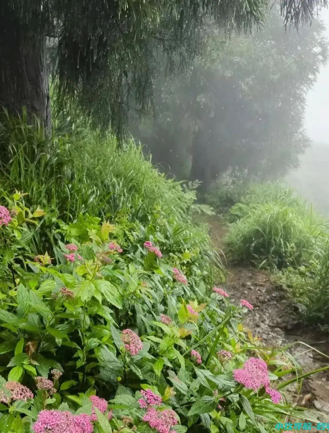 浔城故事