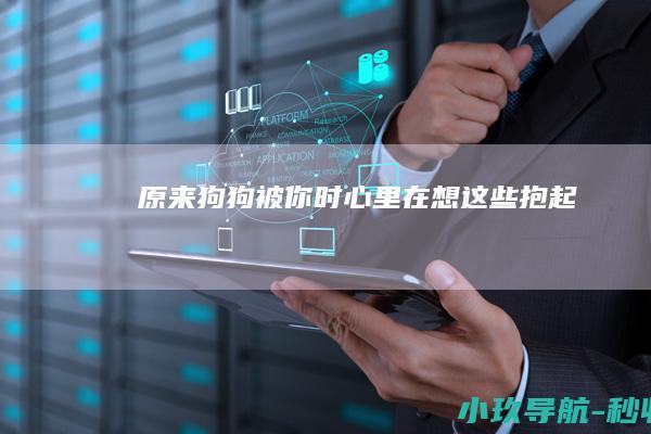 原来狗狗被你 时 心里在想这些 抱起
