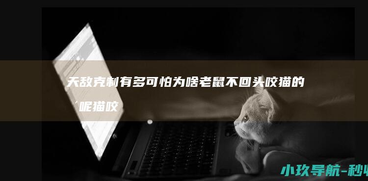天敌克制有多可怕 为啥老鼠不回头咬猫的嘴呢 猫咬住老鼠后