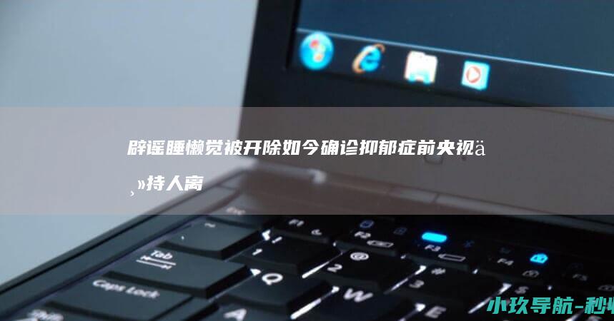 辟谣 睡懒觉被开除 如今确诊抑郁症 前央视主持人离职后自曝后悔