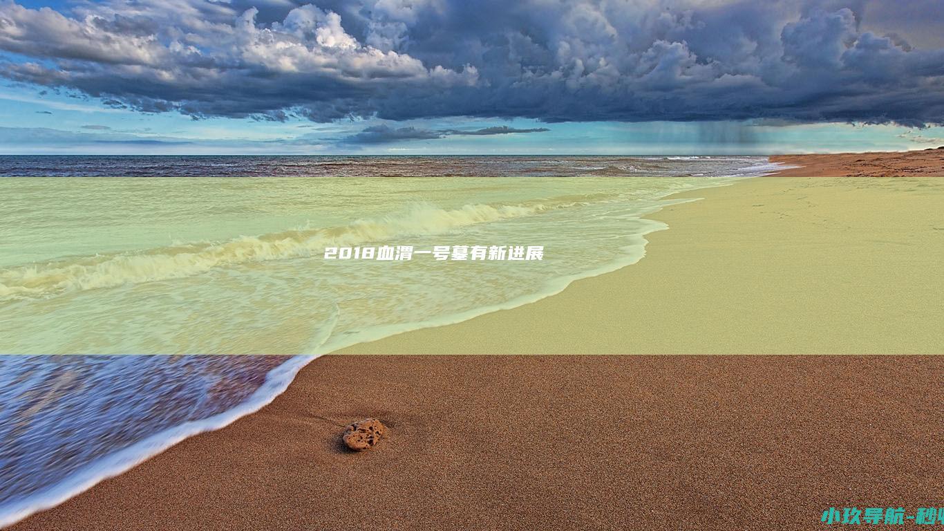2018血渭一号墓有新进展