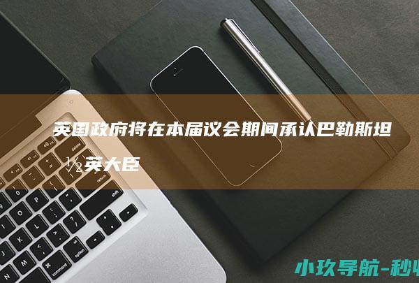 英国政府将在本届议会期间承认巴勒斯坦国 英大臣透露 英媒