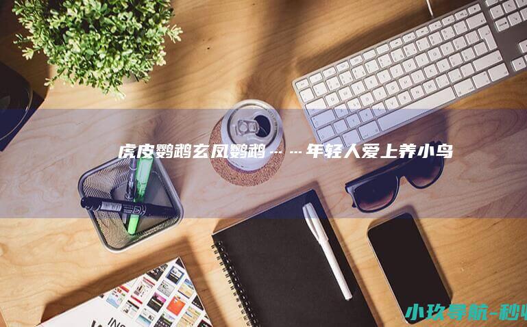 虎皮鹦鹉 玄凤鹦鹉……年轻人爱上养 小鸟
