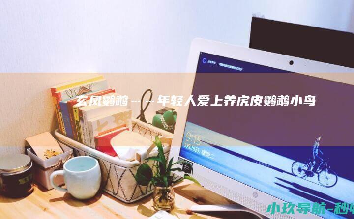玄凤鹦鹉……年轻人爱上养 虎皮鹦鹉 小鸟