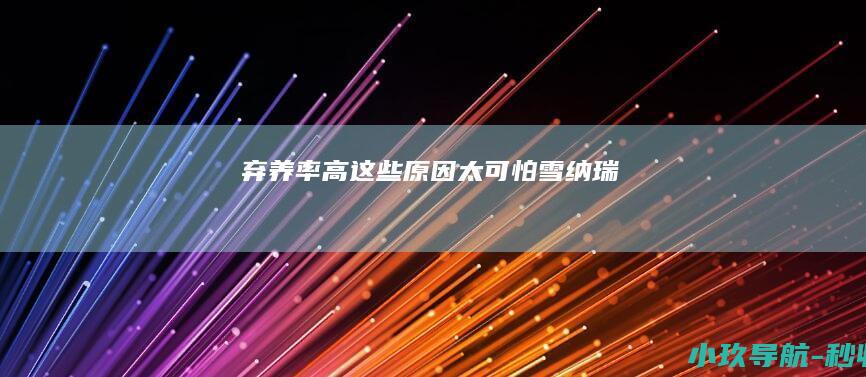 弃养率高 这些原因太可怕！ 雪纳瑞