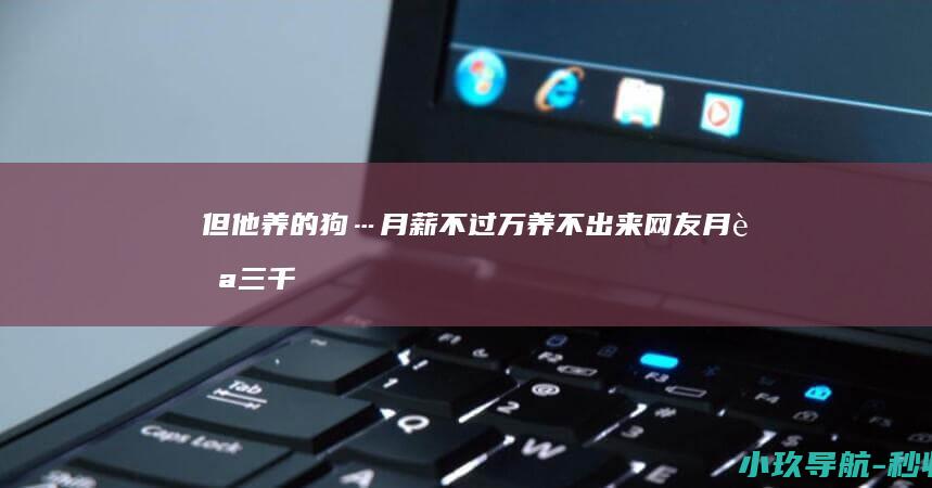 但他养的狗…月薪不过万养不出来！ 网友月薪三千
