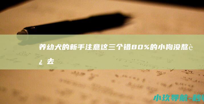 养幼犬的新手注意这三个错80%的小狗没熬过去
