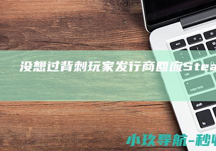 没想过背刺玩家！ 发行商回应Steam差评 渊虚之羽 明末