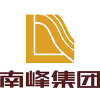 广东南峰集团有限公司
