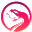 首页
