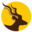 ico