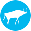 ico