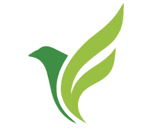 ico