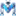 摩金云