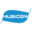 ico