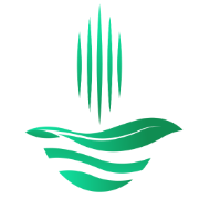 杭州盈一科技有限公司官网