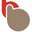 ico