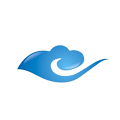 ico