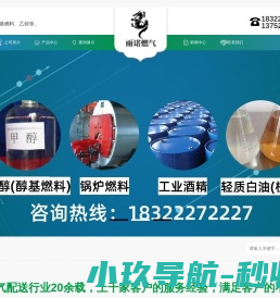天津醇基燃料