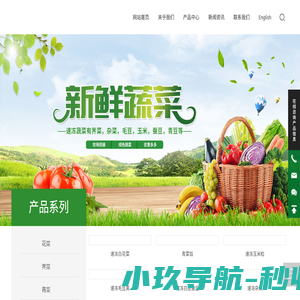 南通市志堂农副产品有限公司_速冻蔬菜,冻青豆,冻花菜,冻荠菜,冻玉米,冻杂菜
