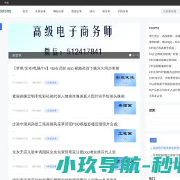 高级电子商务师