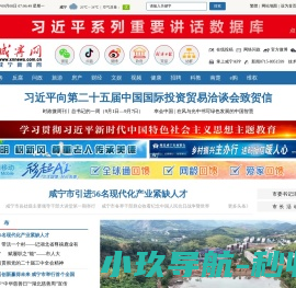 咸宁网