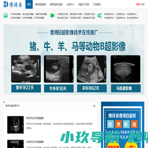 兽用B超图像_兽用B超机视频_动物B超机方法-博祥来兽用B超仪交流网