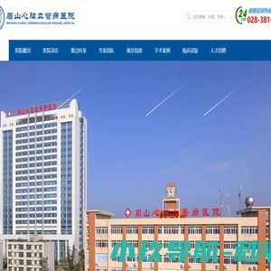 眉山心脑血管病医院