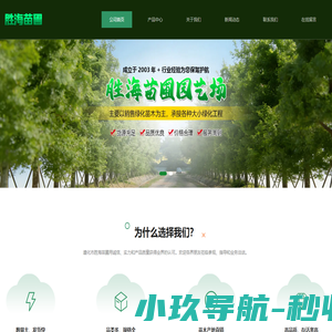 杜仲|法桐|果树|五角枫||遵化市胜海苗圃园艺场