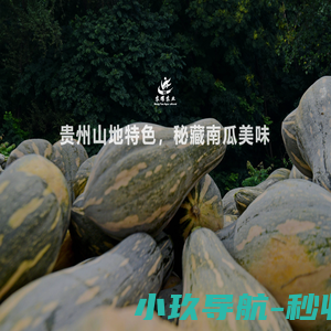 农耀农业_南瓜种植_南瓜加工_贵州省织金县农耀农业开发有限公司